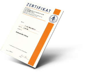 Zertifikat (DGG) Endovaskulärer Chirurg Dr. Klemm