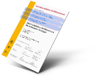 Zertifikat (DGG, DRG, DGA) Interdisziplinäres Gefäßzentrum