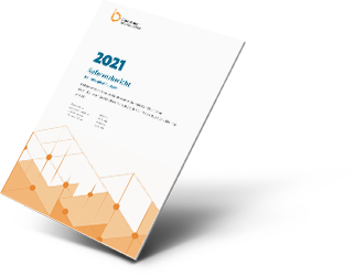 Referenzbericht 2021 (auf Basis des strukturierten Qualitätsberichts)