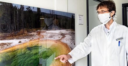 Laborchef Privatdozent Dr. med. Matthias Orth vor dem Foto einer Thermalquelle im Yellowstone-Nationalpark