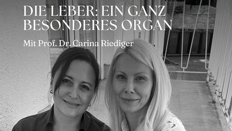 Die Leber: ein ganz besonderes Organ