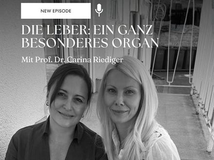 Die Leber: ein ganz besonderes Organ