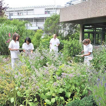 Der Kräutergarten ist Bestandteil der Diätschule am Marienhospital Stuttgart