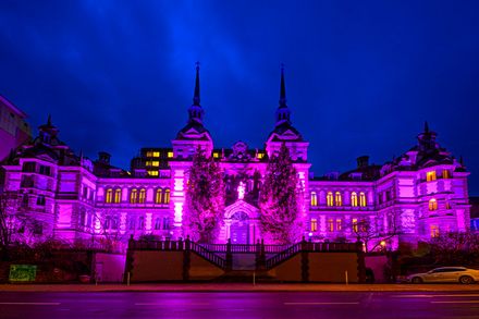 Am Weltpankreaskrebstag erstrahlte der Altbau des Marienhospitals in leuchtendem Lila Am Weltpankreaskrebstag erstrahlte der Altbau des Marienhospitals in leuchtendem Lila