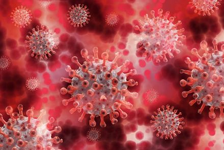 Coronavirus (Quelle: Pixabay, Gerd Altmann)