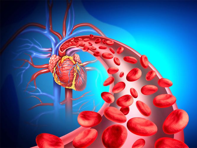Tipps vom Kardiologen: Marienhospital Stuttgart zum Herztag 2925 in SWR aktuell Tipps vom Kardiologen: Marienhospital Stuttgart zum Herztag 2925 in SWR aktuell