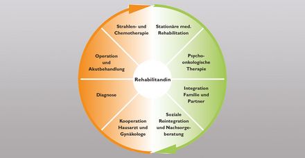 360&deg;-Behandlungskonzept f&uuml;r Brustkrebspatientinnen