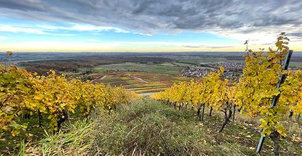 Der Herbst hat Einzug gehalten (Foto: Christine Unrath)