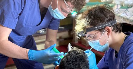 Zahnbehandlung in abgelegenen Bergdörfern Nepals: Zu den Patienten gehörten auch zahlreiche Kinder Zahnbehandlung in abgelegenen Bergdörfern Nepals: Zu den Patienten gehörten auch zahlreiche Kinder