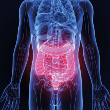 Darmtag am 12.3.2026 im Marienhospital Stuttgart (Bild: shutterstock.com/Life Science)