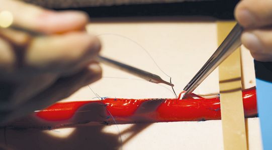 Der Kurs „Gefäßtrauma. Kompetenz in der Notfall-Gefäßchiurgie für Nicht-Gefäßchirurgen“ findet zweimal jährlich statt