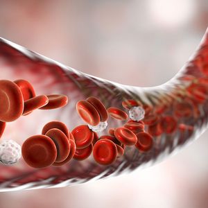 Interdisziplin&auml;res H&auml;matologisches Zentrum am Marienhospital Stuttgart