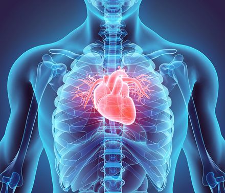 Herztag im Marienhospital Stuttgart: am Mittwoch, 6.11.2024 (Bild: shutterstock.com/MDGRPHCS)